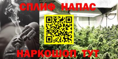 шишки Можга